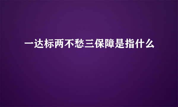 一达标两不愁三保障是指什么