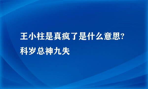 王小柱是真疯了是什么意思?科岁总神九失