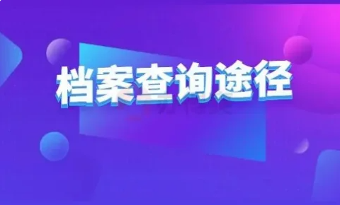 怎么看自己的档来自案状态查询