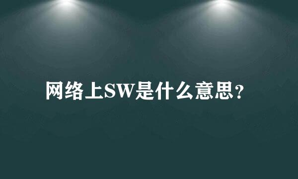 网络上SW是什么意思？