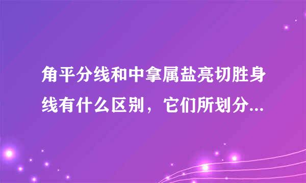 角平分线和中拿属盐亮切胜身线有什么区别，它们所划分的角相等吗