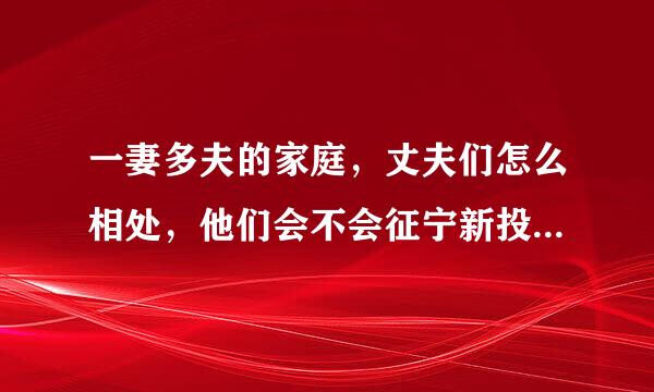 一妻多夫的家庭，丈夫们怎么相处，他们会不会征宁新投尴尬，他们平时怎么玩？