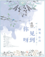 求 一见到你呀txt百度云