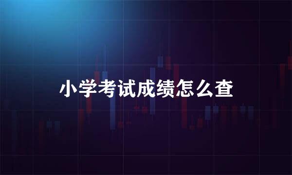小学考试成绩怎么查
