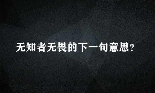 无知者无畏的下一句意思？