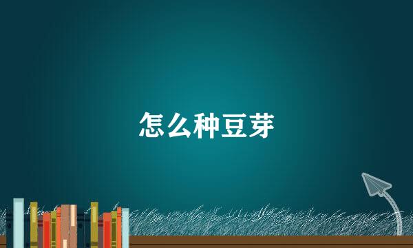 怎么种豆芽