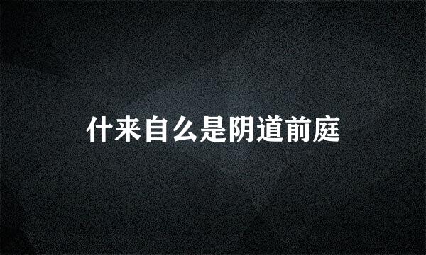 什来自么是阴道前庭