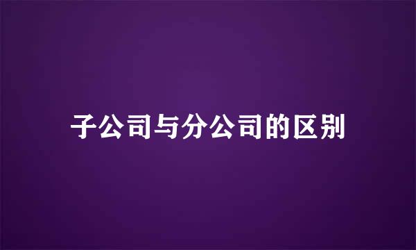 子公司与分公司的区别