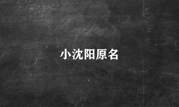 小沈阳原名