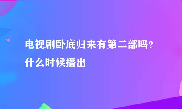 电视剧卧底归来有第二部吗？什么时候播出
