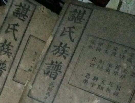 “谌”作为姓氏安未的读音？谌龙