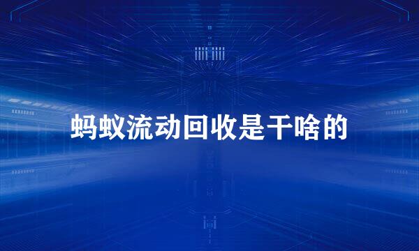 蚂蚁流动回收是干啥的
