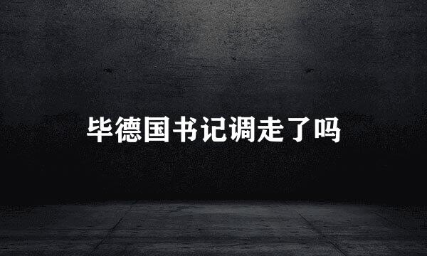 毕德国书记调走了吗