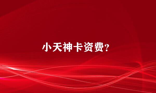 小天神卡资费？