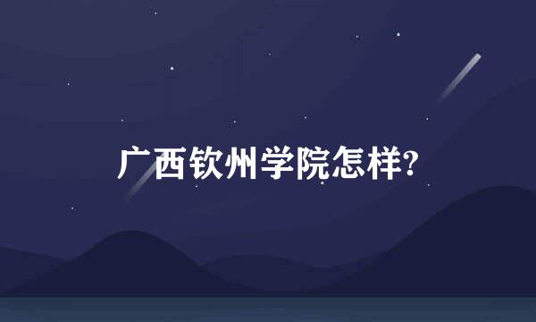 广西钦州学院怎样?