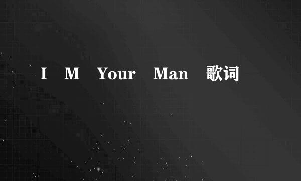 I M Your Man 歌词
