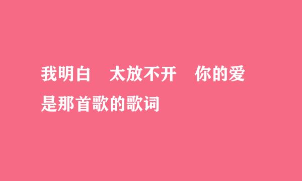 我明白 太放不开 你的爱 是那首歌的歌词