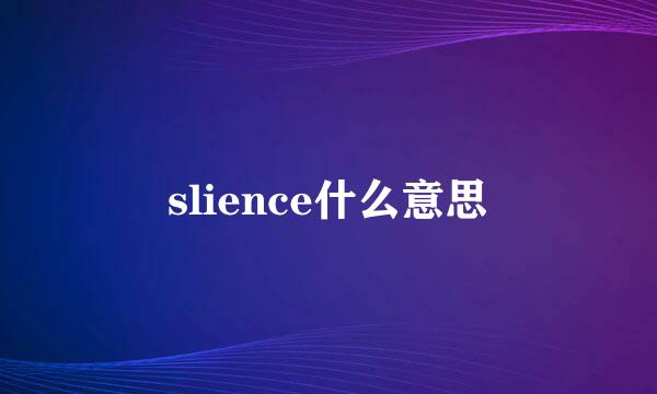 slience什么意思