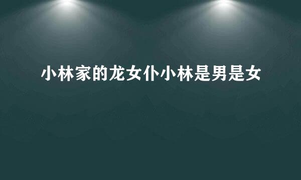 小林家的龙女仆小林是男是女