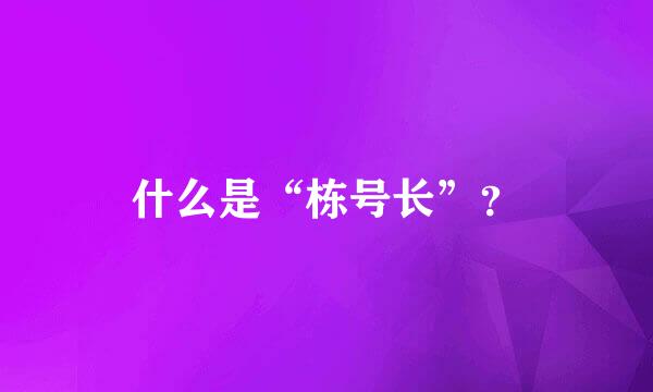 什么是“栋号长”？