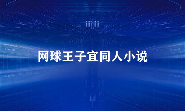 网球王子宜同人小说