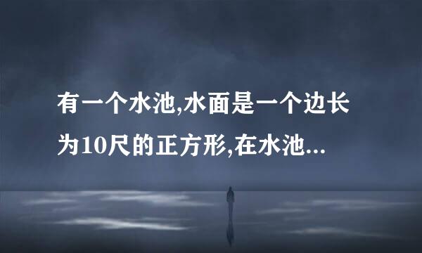 有一个水池,水面是一个边长为10尺的正方形,在水池正中央有一根新生的芦苇,它高出...