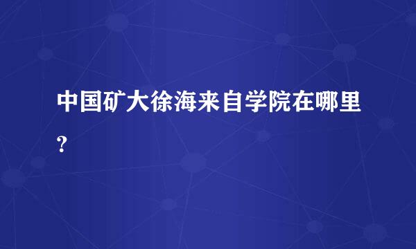 中国矿大徐海来自学院在哪里？