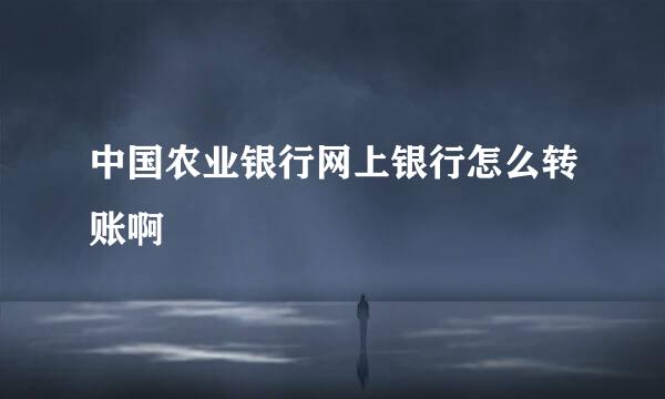 中国农业银行网上银行怎么转账啊