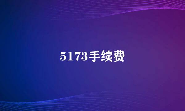 5173手续费