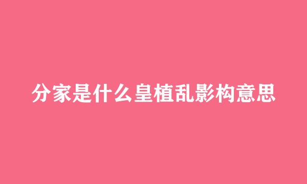 分家是什么皇植乱影构意思