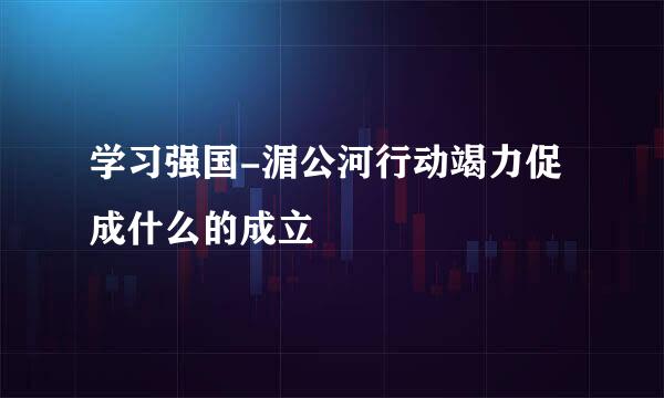 学习强国-湄公河行动竭力促成什么的成立
