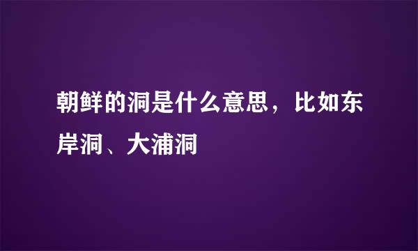 朝鲜的洞是什么意思，比如东岸洞、大浦洞