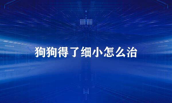 狗狗得了细小怎么治