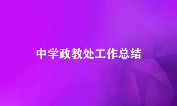 中学政教处工作总结