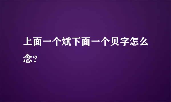 上面一个斌下面一个贝字怎么念？