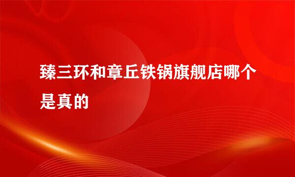 臻三环和章丘铁锅旗舰店哪个是真的