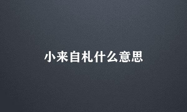 小来自札什么意思