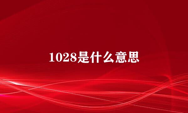 1028是什么意思