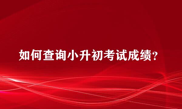 如何查询小升初考试成绩？