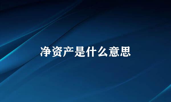 净资产是什么意思