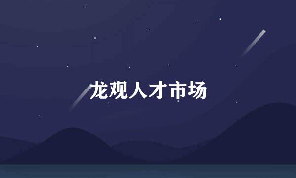 龙观人才市场