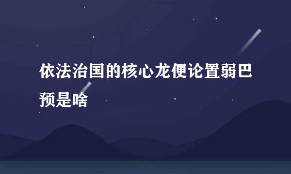 依法治国的核心龙便论置弱巴预是啥