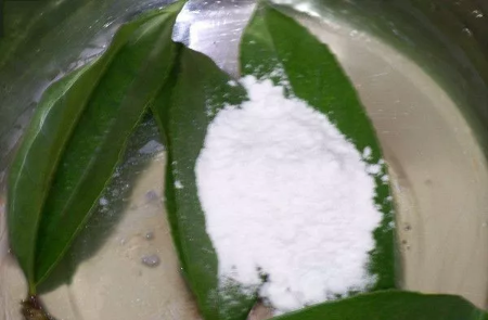 树叶书签怎么做