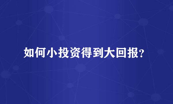 如何小投资得到大回报？