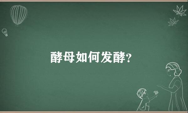 酵母如何发酵？