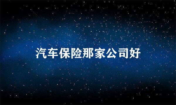 汽车保险那家公司好