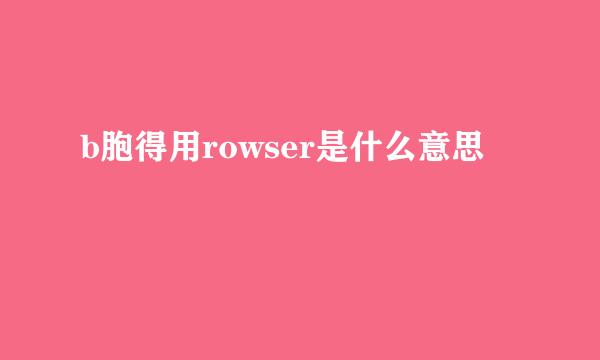b胞得用rowser是什么意思