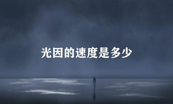 光因的速度是多少