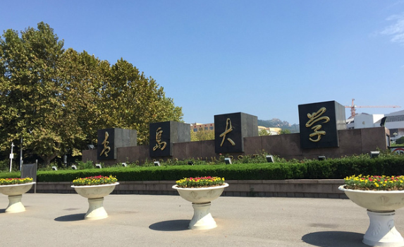 青岛大学分数线