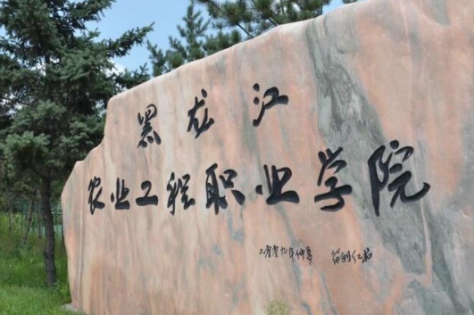 哈尔滨专科学校美由都有哪些?